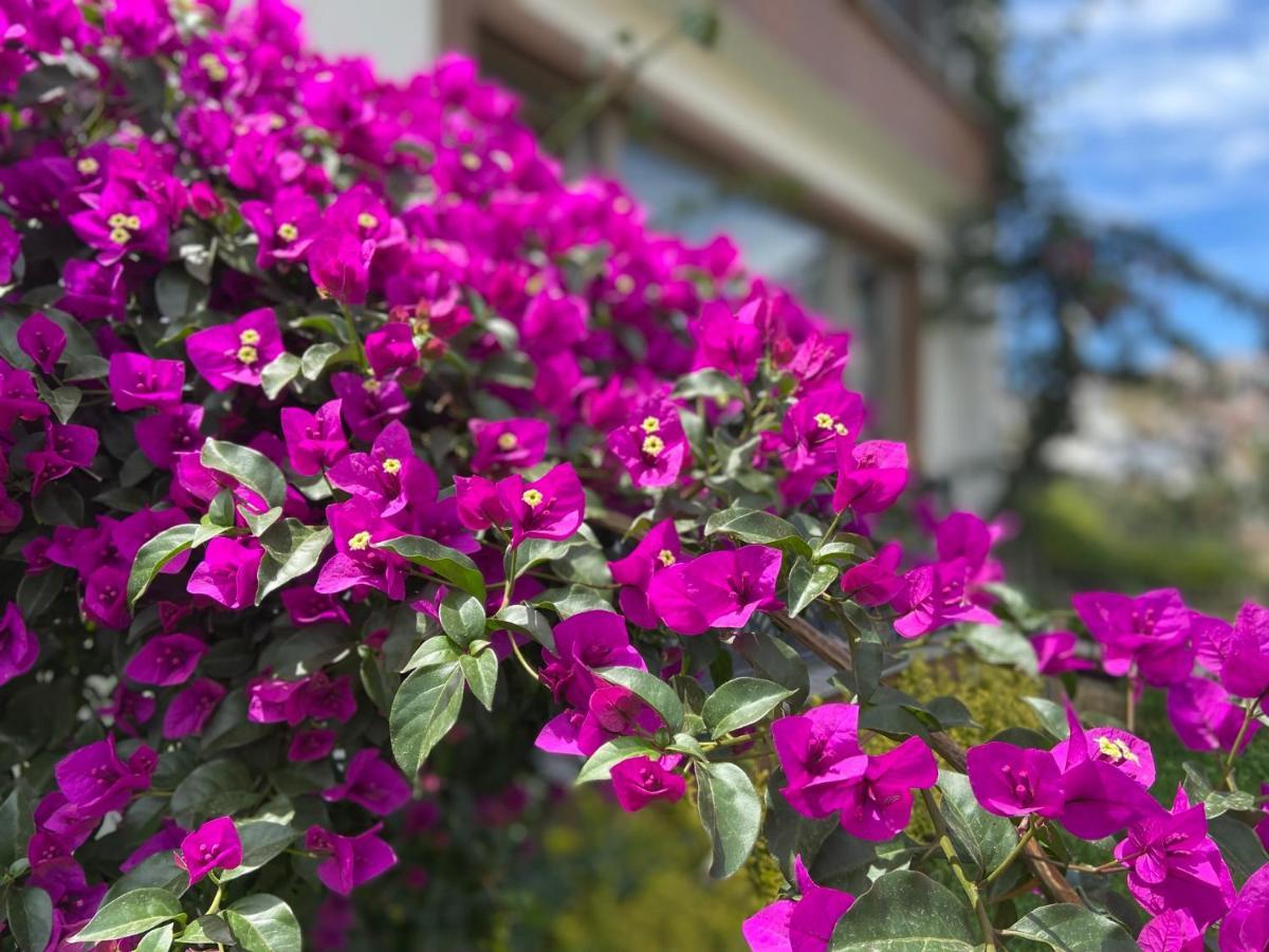 Yelken Pansiyon Sinop Sinope Exterior foto