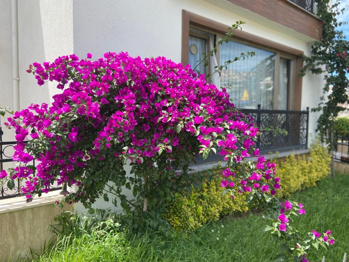 Yelken Pansiyon Sinop Sinope Exterior foto